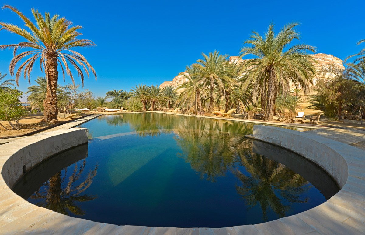 The spring-fed pool ringed by date palms
