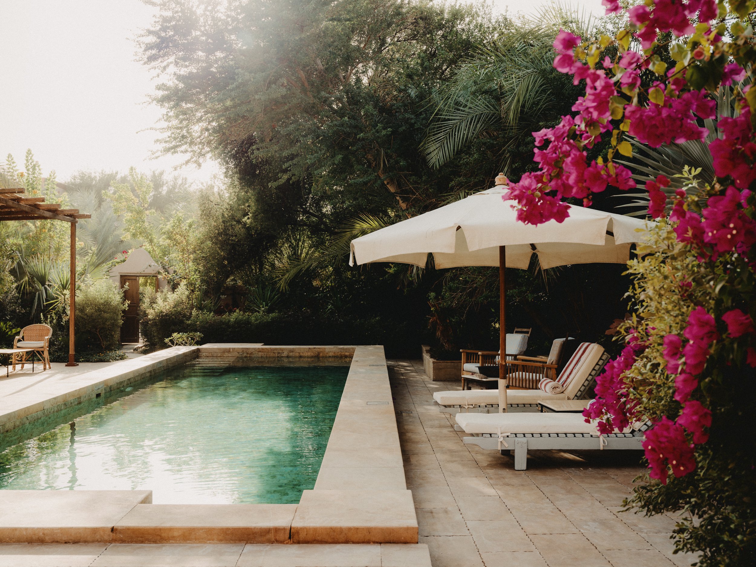 The outdoor pool with a parasol and loungers among bougainvillea and palms