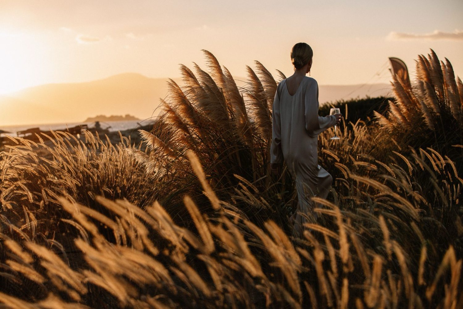 Golden dune grasses on Plaka at sunset