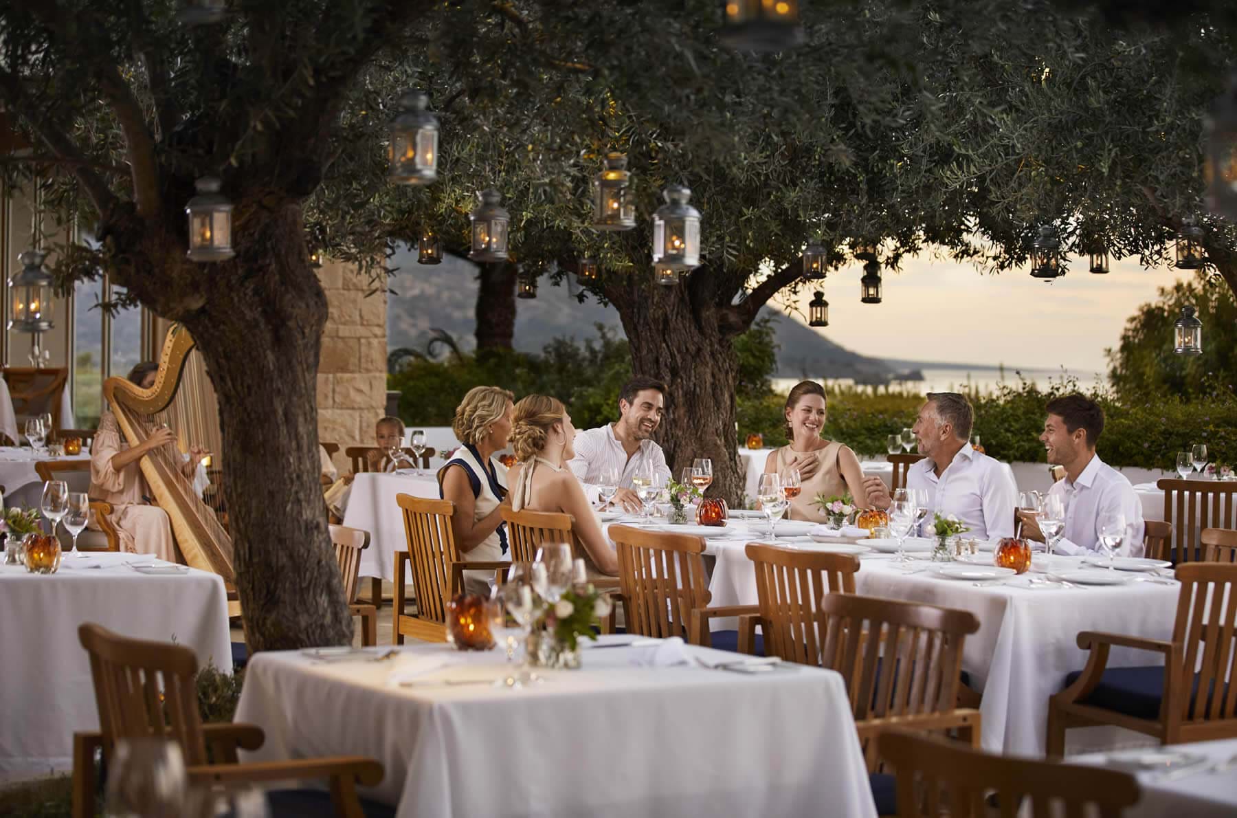 Dinner laid under olive trees on the terrace, the bay beyond
