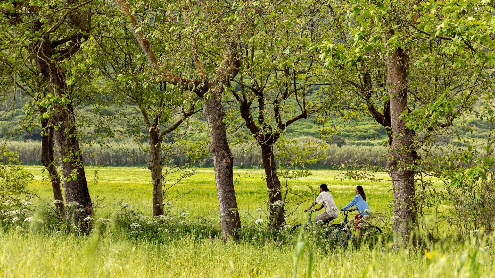 Two guests cycling through the wildflower meadows and trees around the hotel