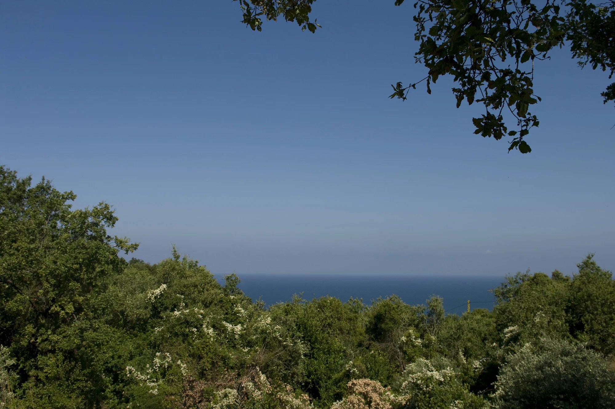 The Mediterranean seen over the wooded hillside from the terrace