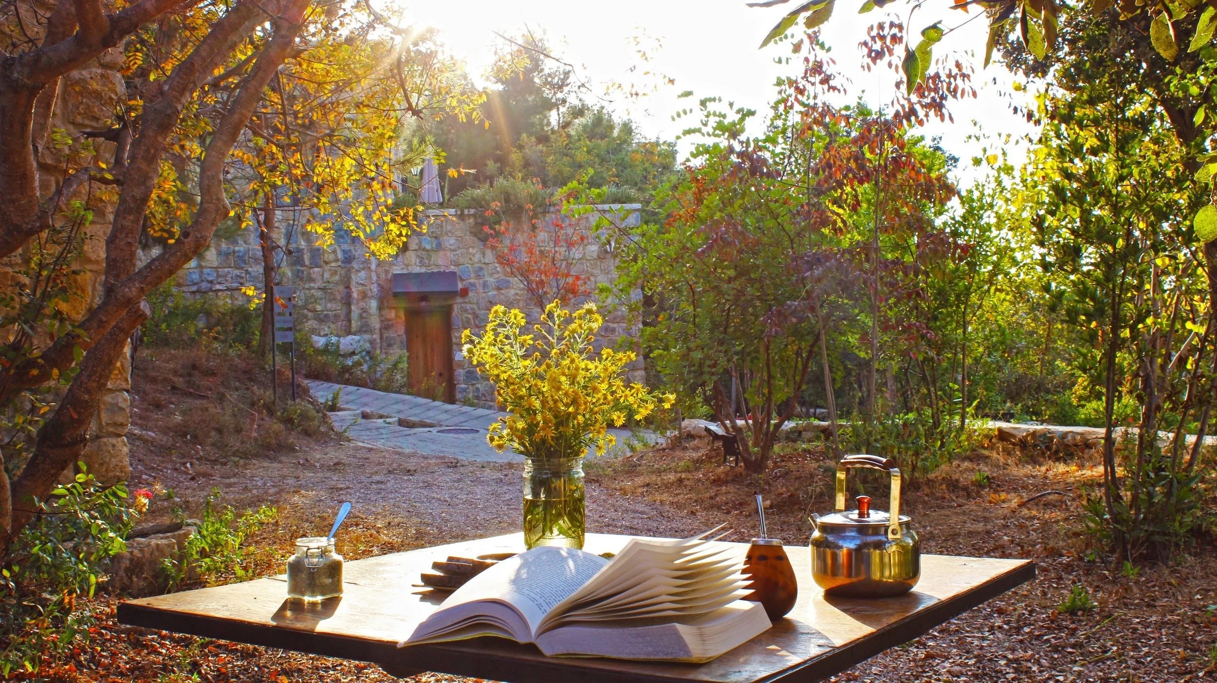A table set in the garden at the end of the day
