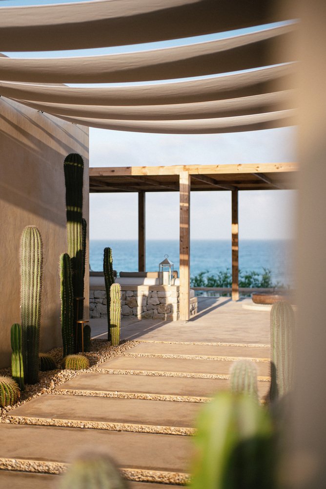 A timber pergola walkway lined with cacti running toward the sea