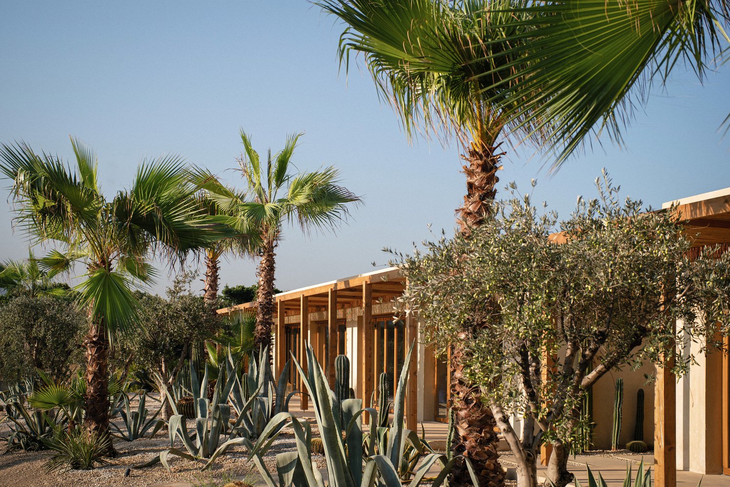 Palms and agave around the sandy buildings above the water