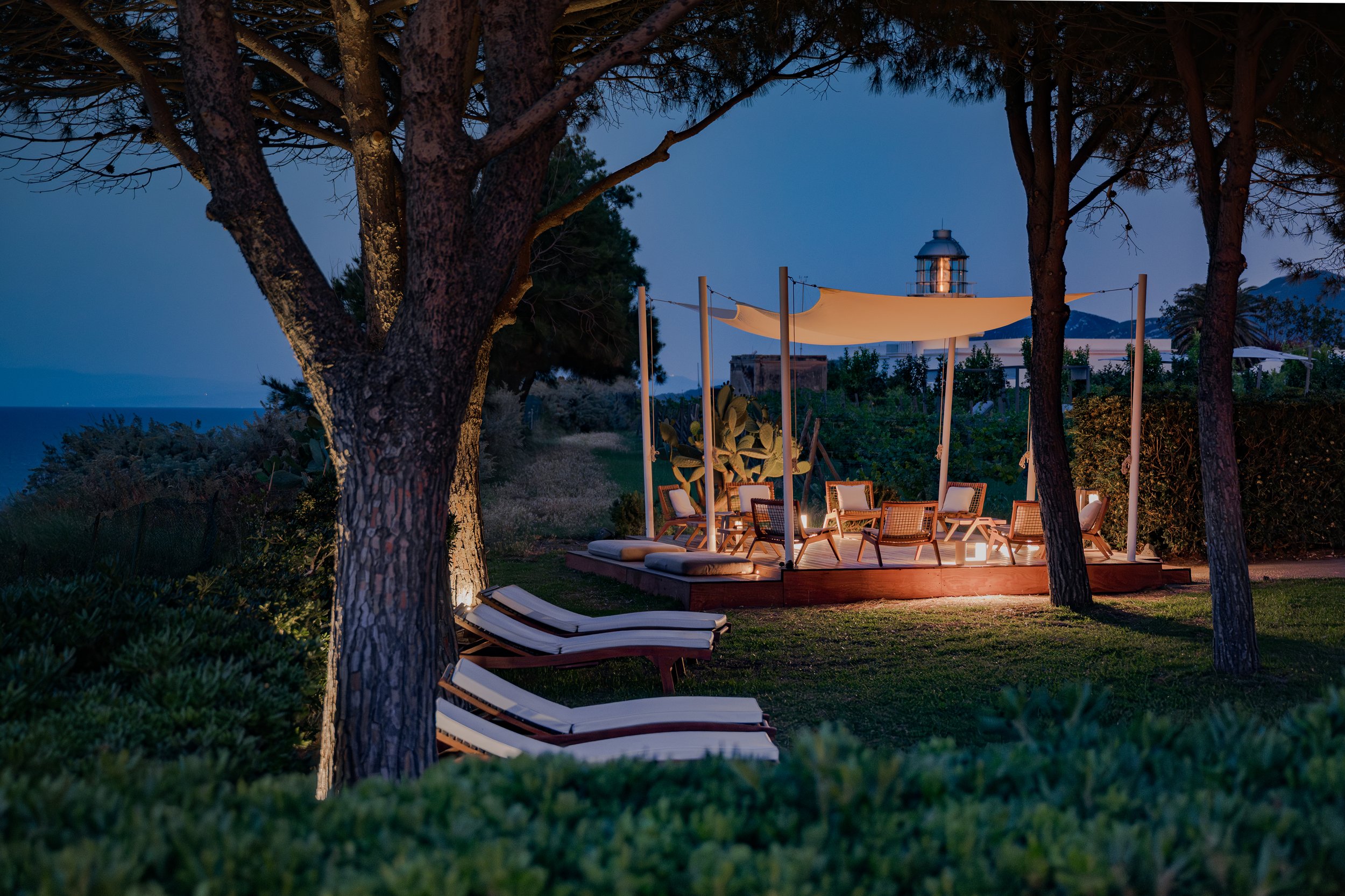Loungers under a pine at the close of the day