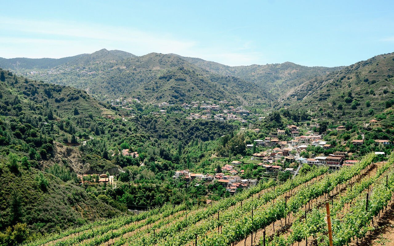 Vineyards on the slope above Kalopanayiotis in the Marathasa valley
