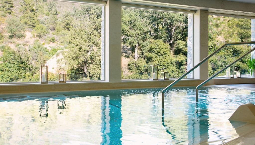 The indoor hydrotherapy pool looking out to the wooded hillside