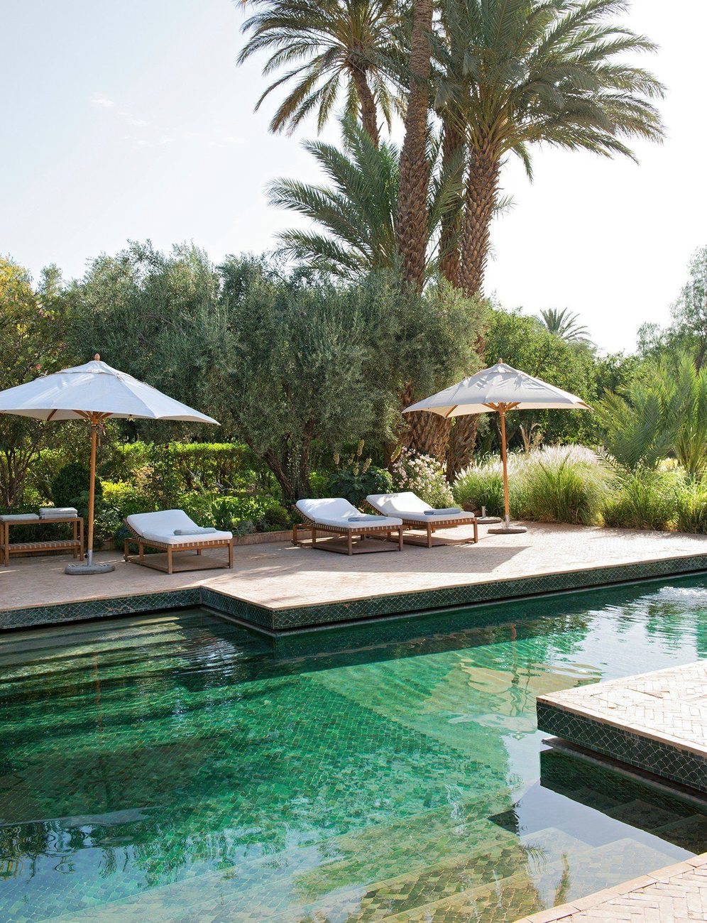 The pool under palms and olive trees, loungers along the edge