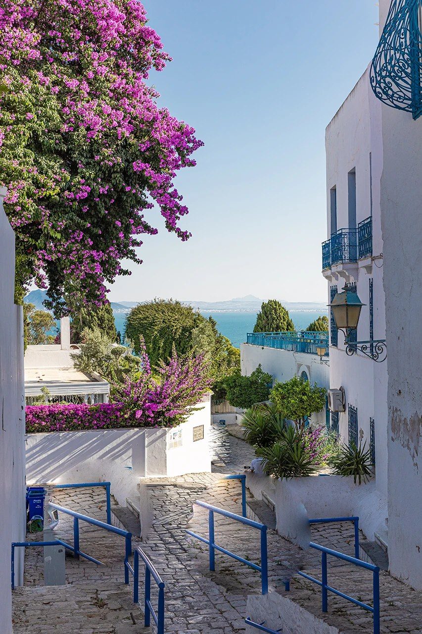 A whitewashed lane dropping toward the sea under bougainvillaea
