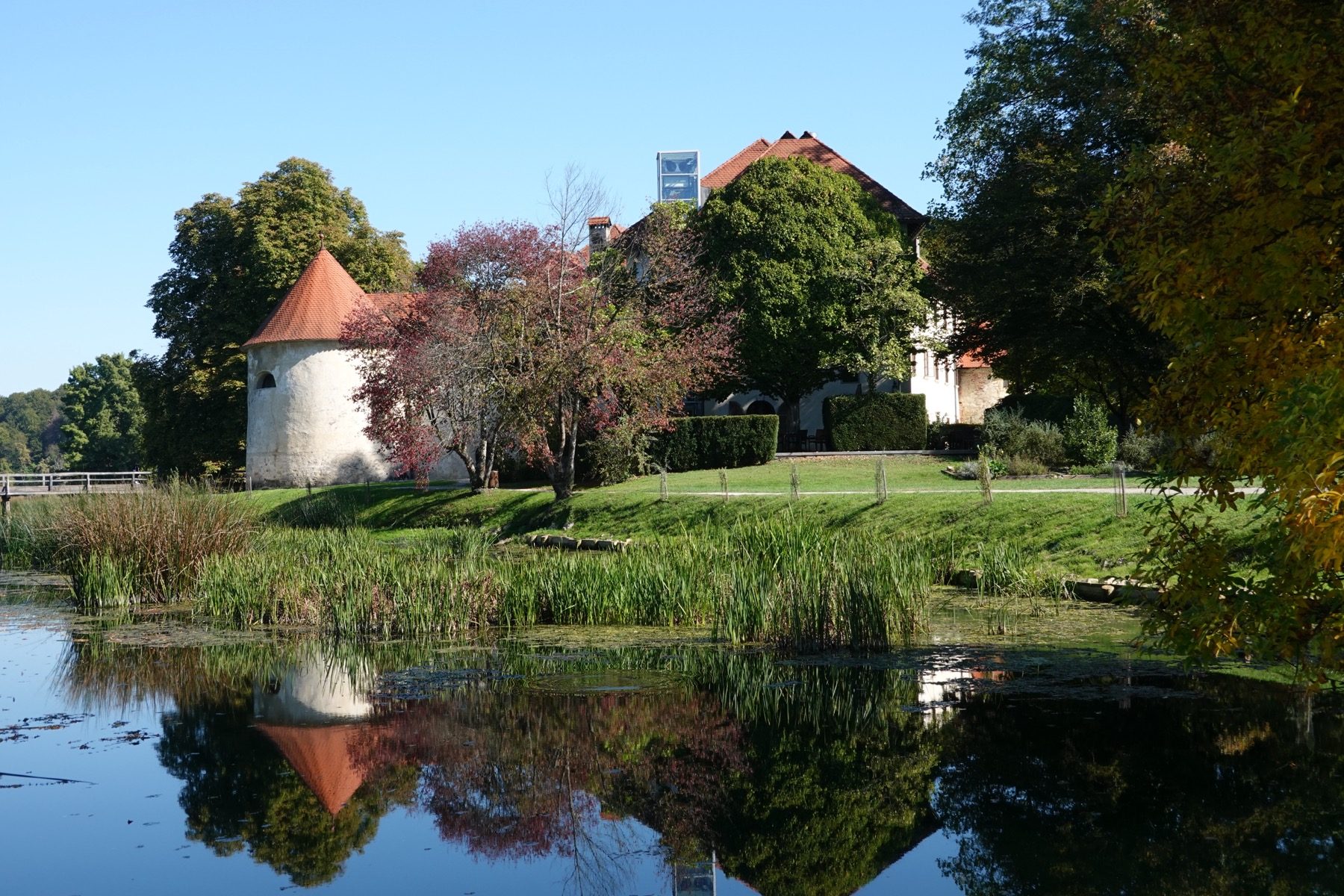 A conical-roofed tower of the castle reflected in still water among the trees