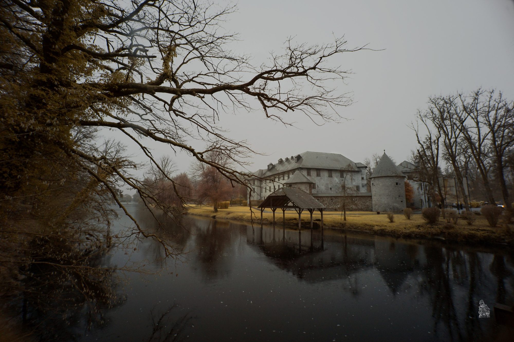 Grad Otočec in bare-tree season, the castle and its tower mirrored in the still winter Krka under a grey sky