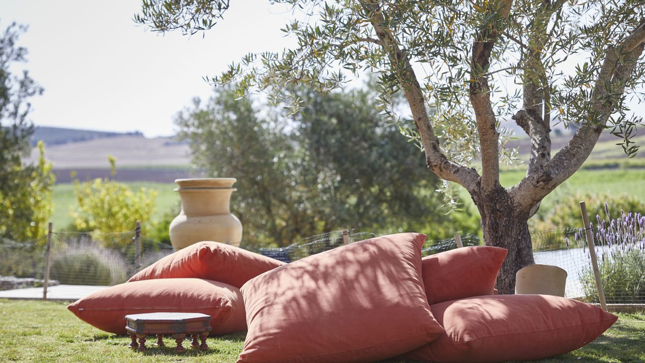 Terracotta floor cushions beneath an olive tree looking out over the fields
