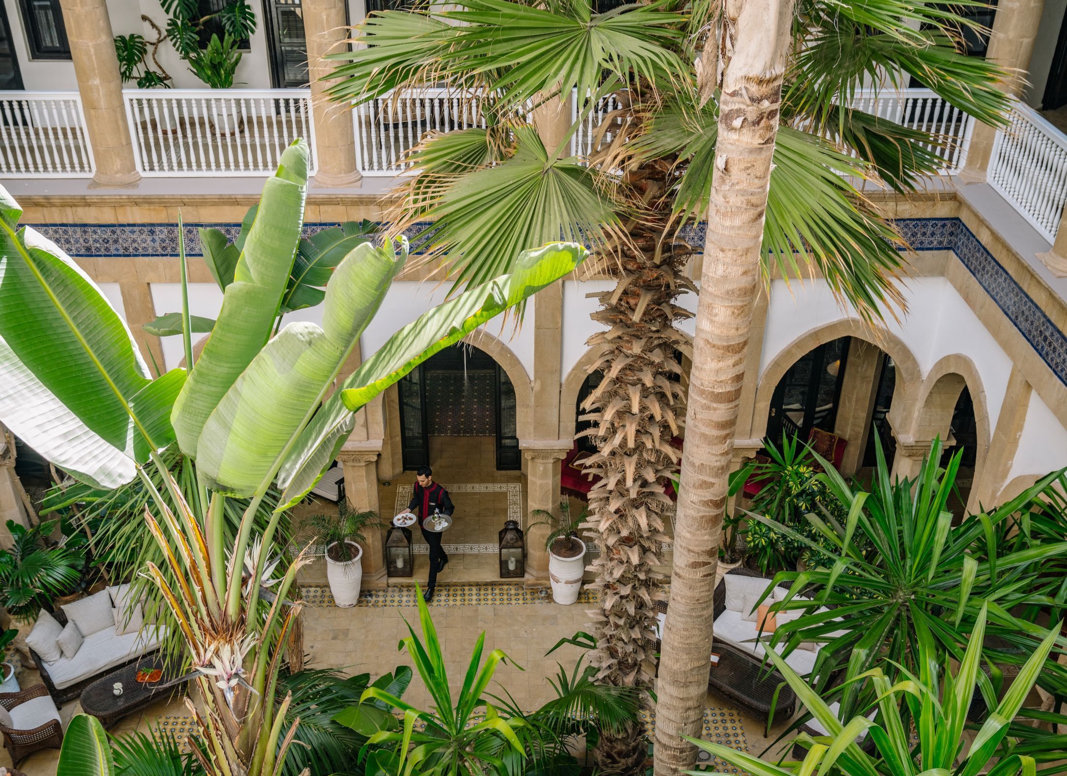 The planted courtyard with palms under the arcades
