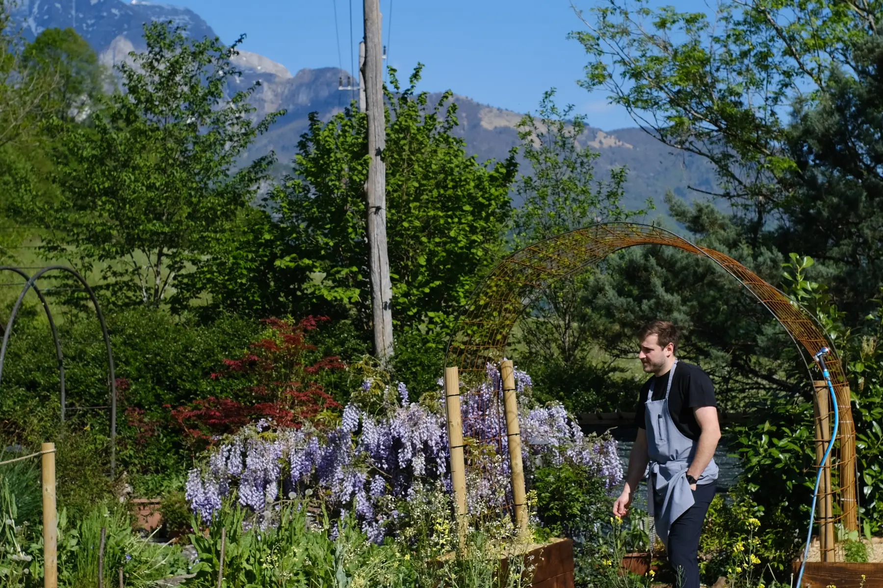The kitchen garden in flower with the mountains beyond