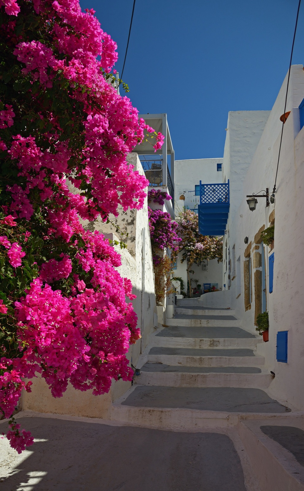 A limewashed lane climbing through the Chora