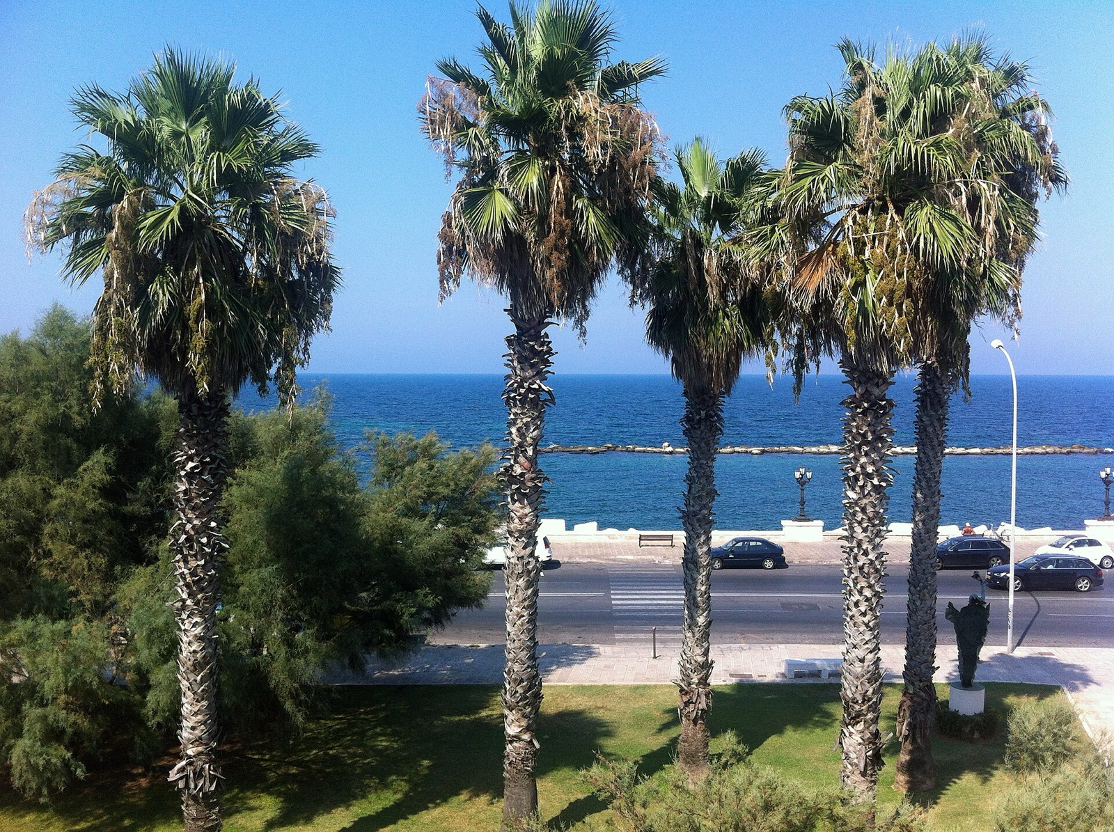 A palm-lined square in the old town of Bari