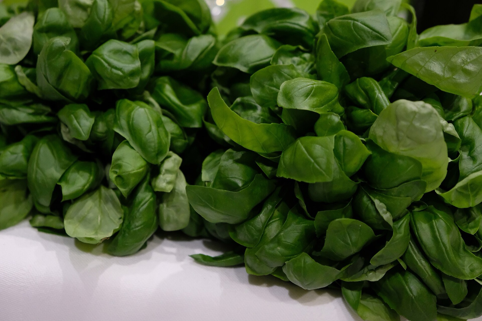 The only real pesto starts with one leaf, grown on a thin strip of the Ligurian coast and 