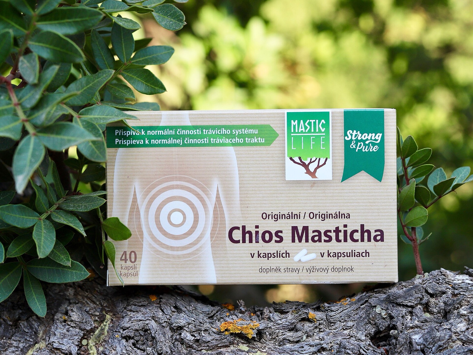 Hardened tears of Chios mastiha resin