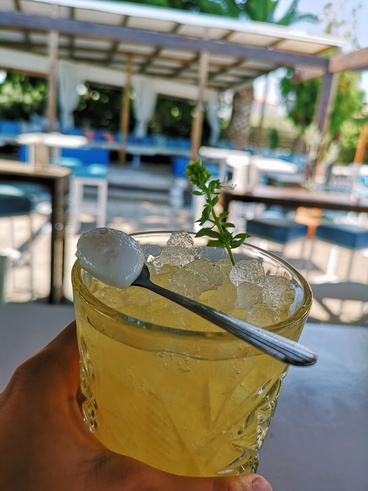 A glass of masticha, the liqueur distilled with Chios mastic