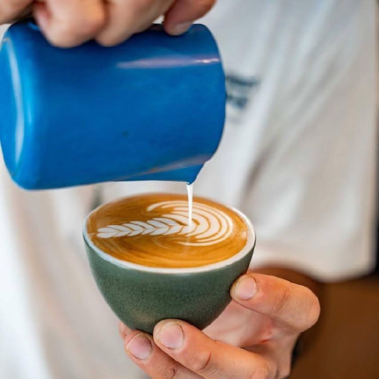 A rosetta poured into a stoneware cup, the signature of a champion barista