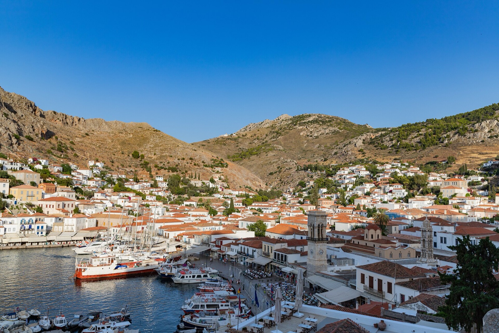 No cars, no scooters, not even a bicycle. On Hydra roughly a thousand donkeys and mules do