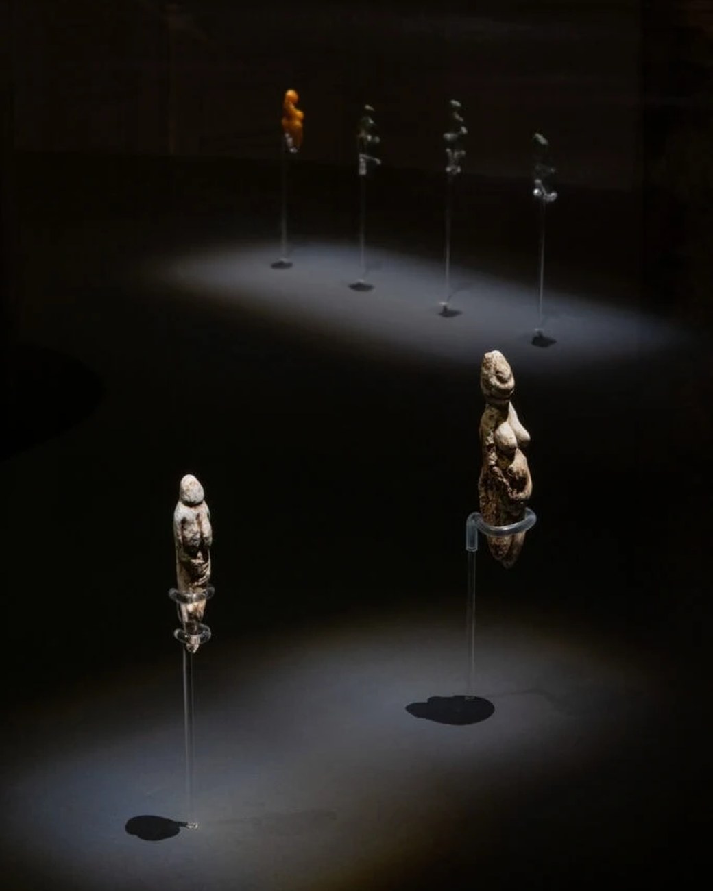 Replicas of Upper Paleolithic Venus figurines on spotlit stands in the darkened gallery