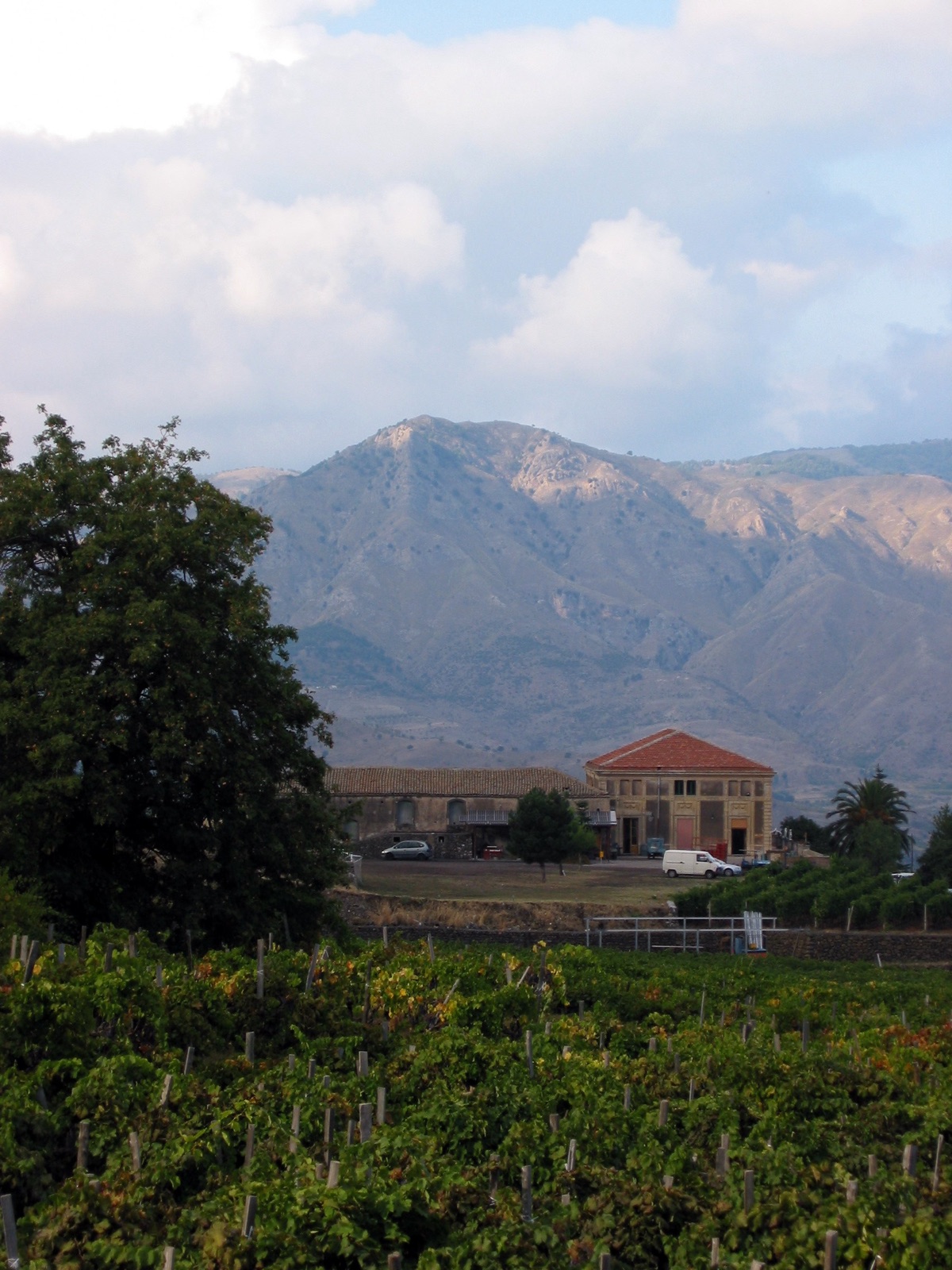 The Mediterranean Wine Regions We Are Drinking Now
