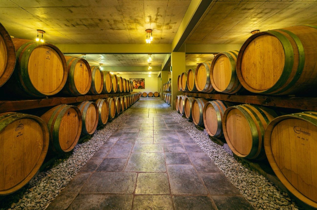 The barrel cellar at Oenogenesis