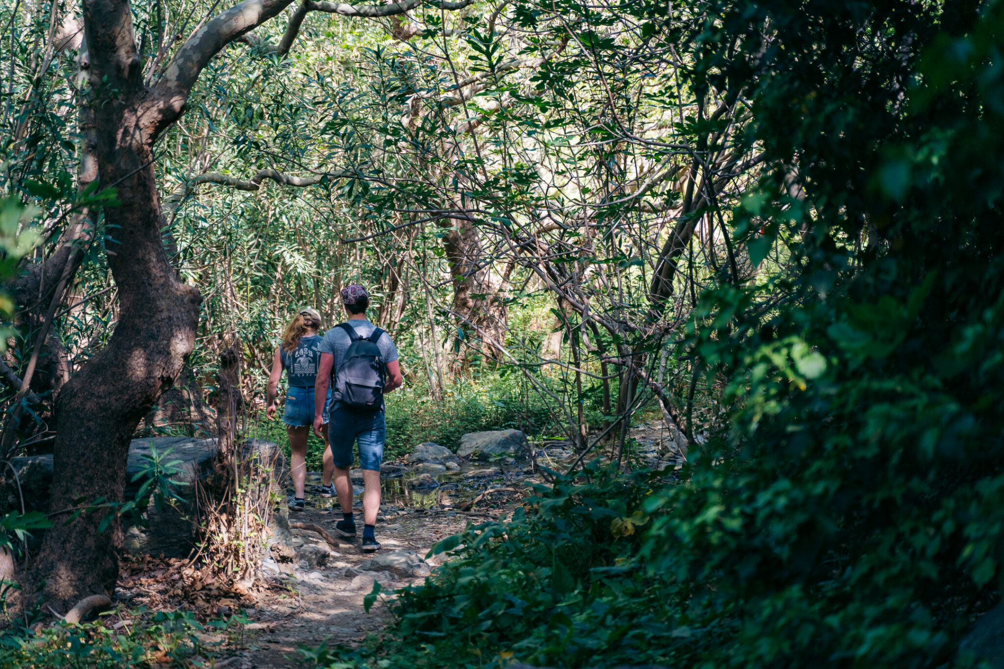 The Richtis Gorge trail running beside the stream under plane trees