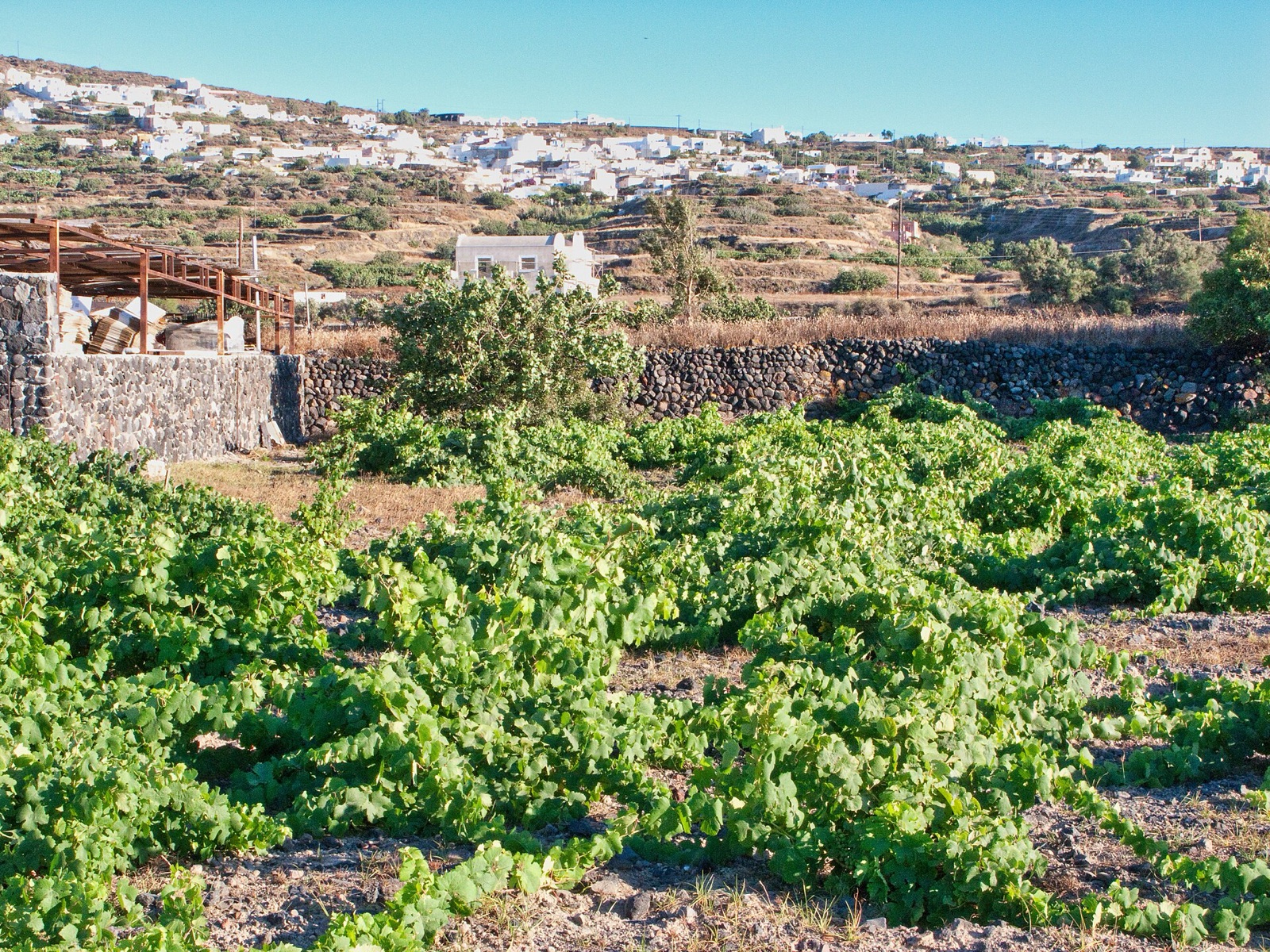 Santorini's Volcanic Table, Before the Stars Land