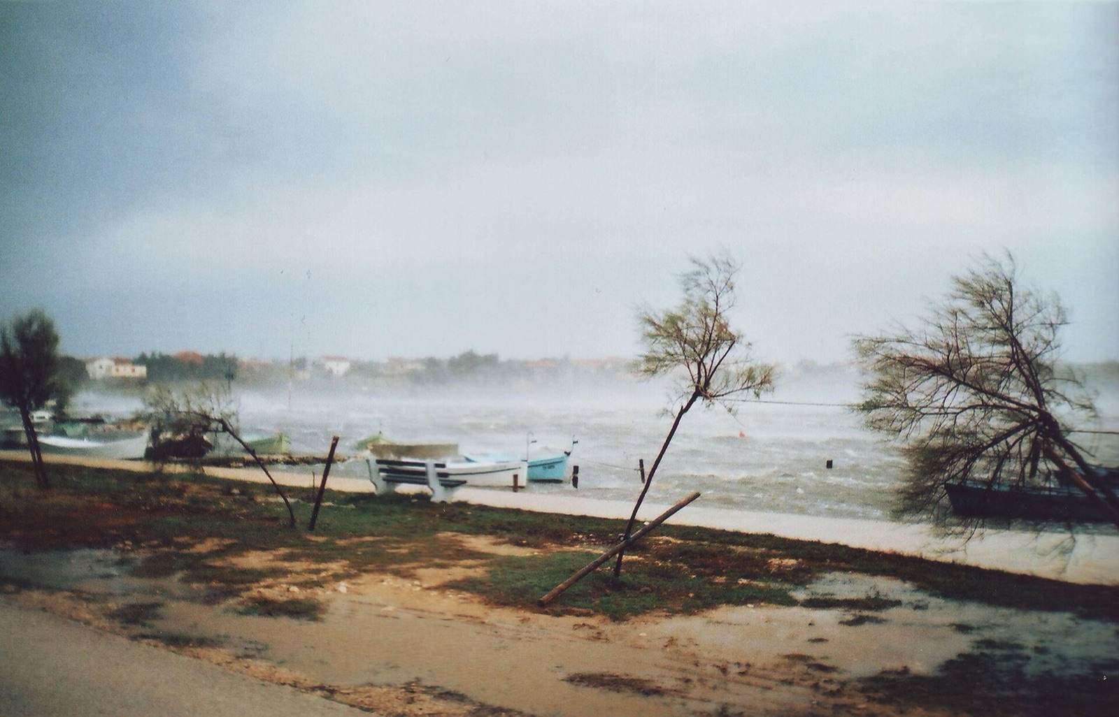 A cold wind falls off the Dinaric wall and decides how the northern Adriatic looks, sails 
