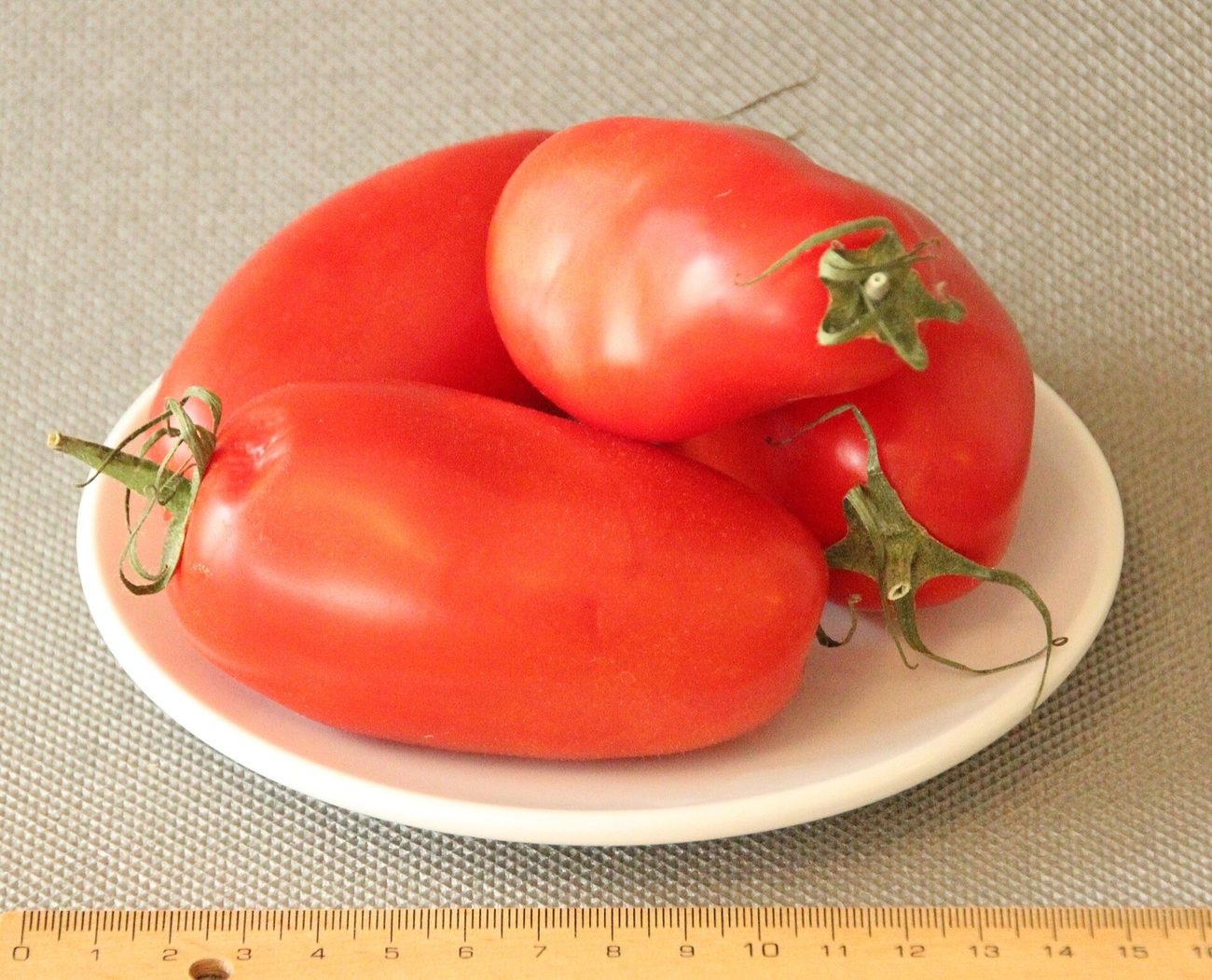 Close view of the long, narrow San Marzano plum tomato