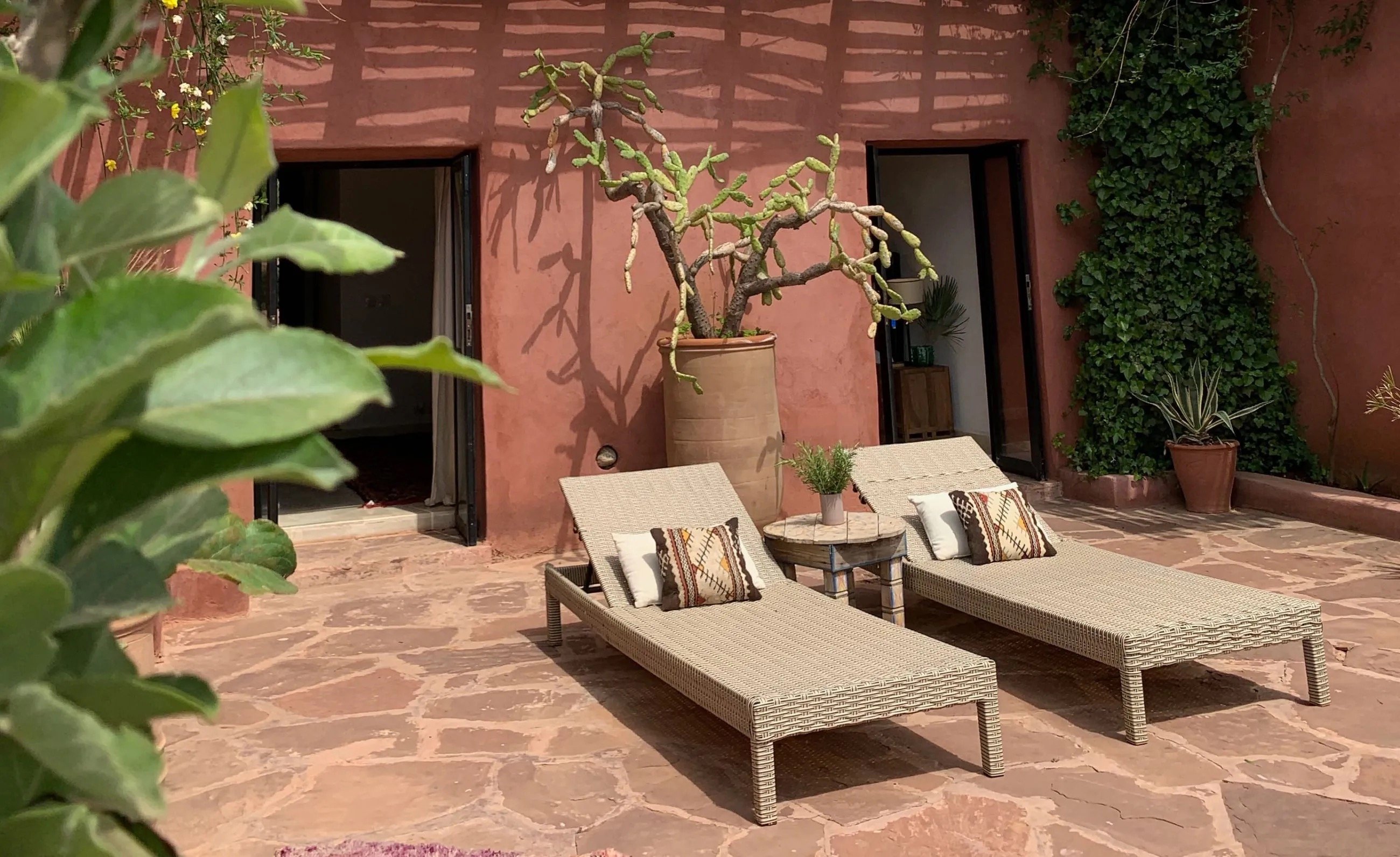 A private terrace with loungers against a terracotta wall and a potted cactus