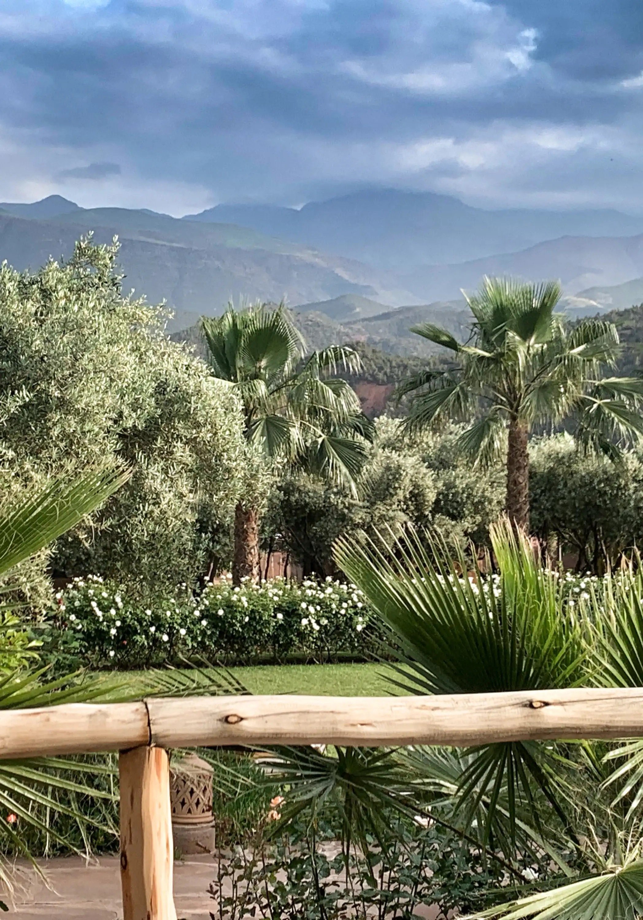 The gardens of palms and olives with the hazy High Atlas beyond