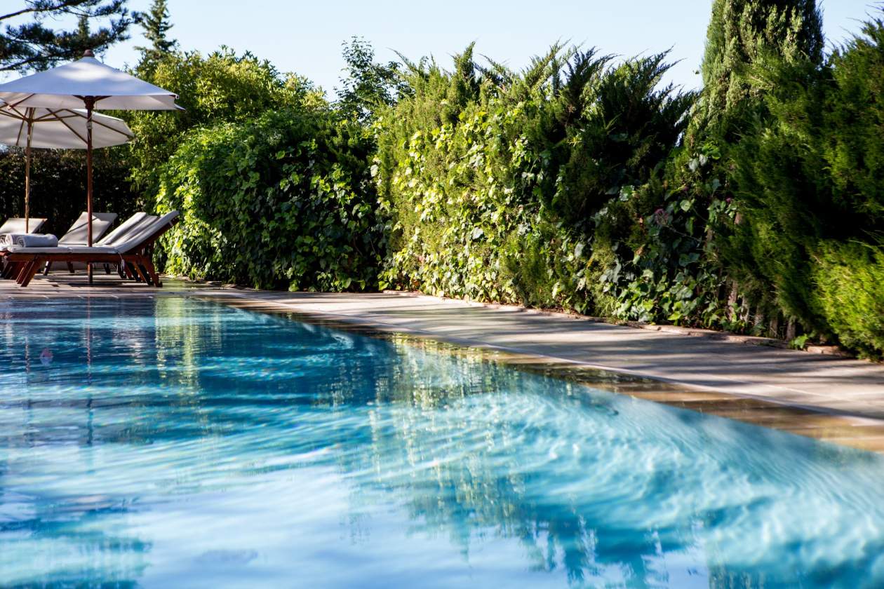 The heated outdoor pool below the terrace, ringed by the garden