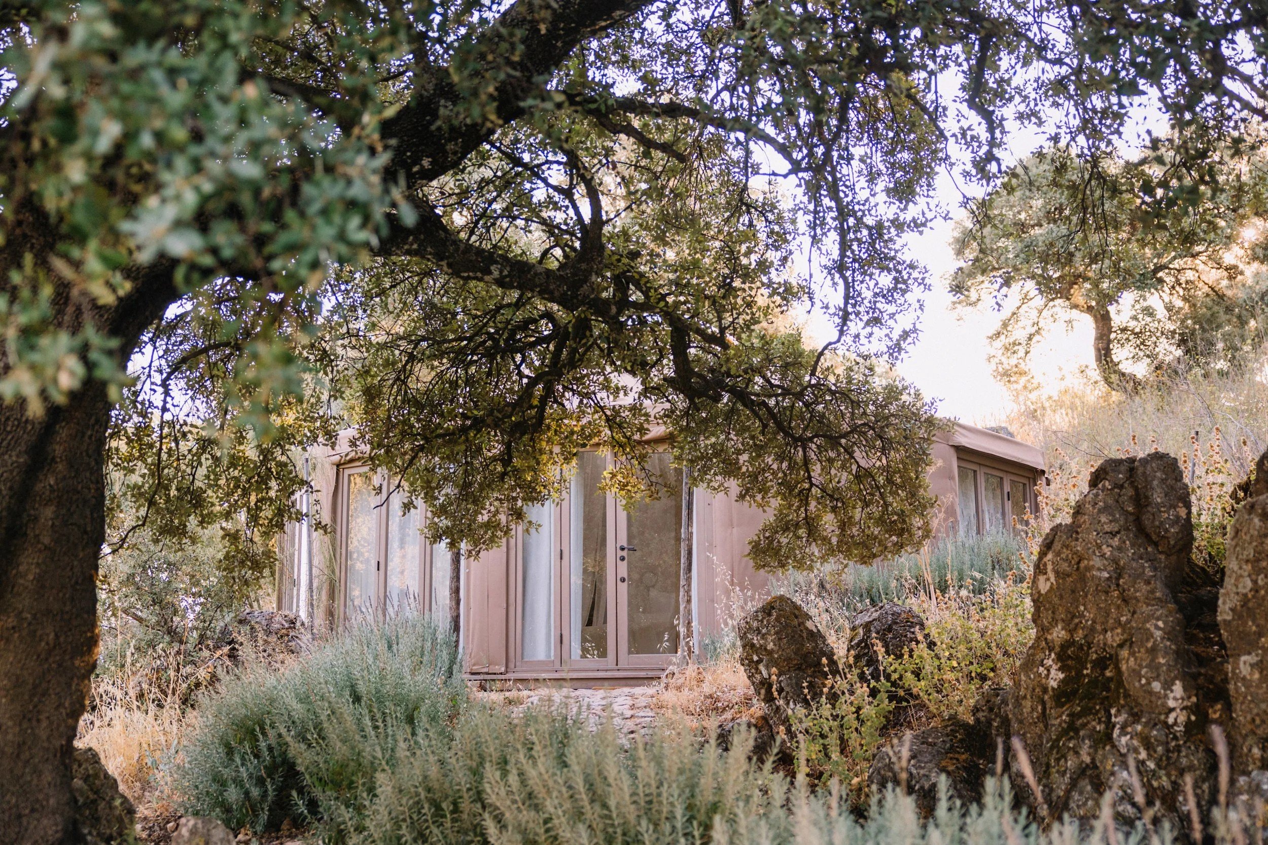 A glass-walled suite set among holm oaks at La Donaira