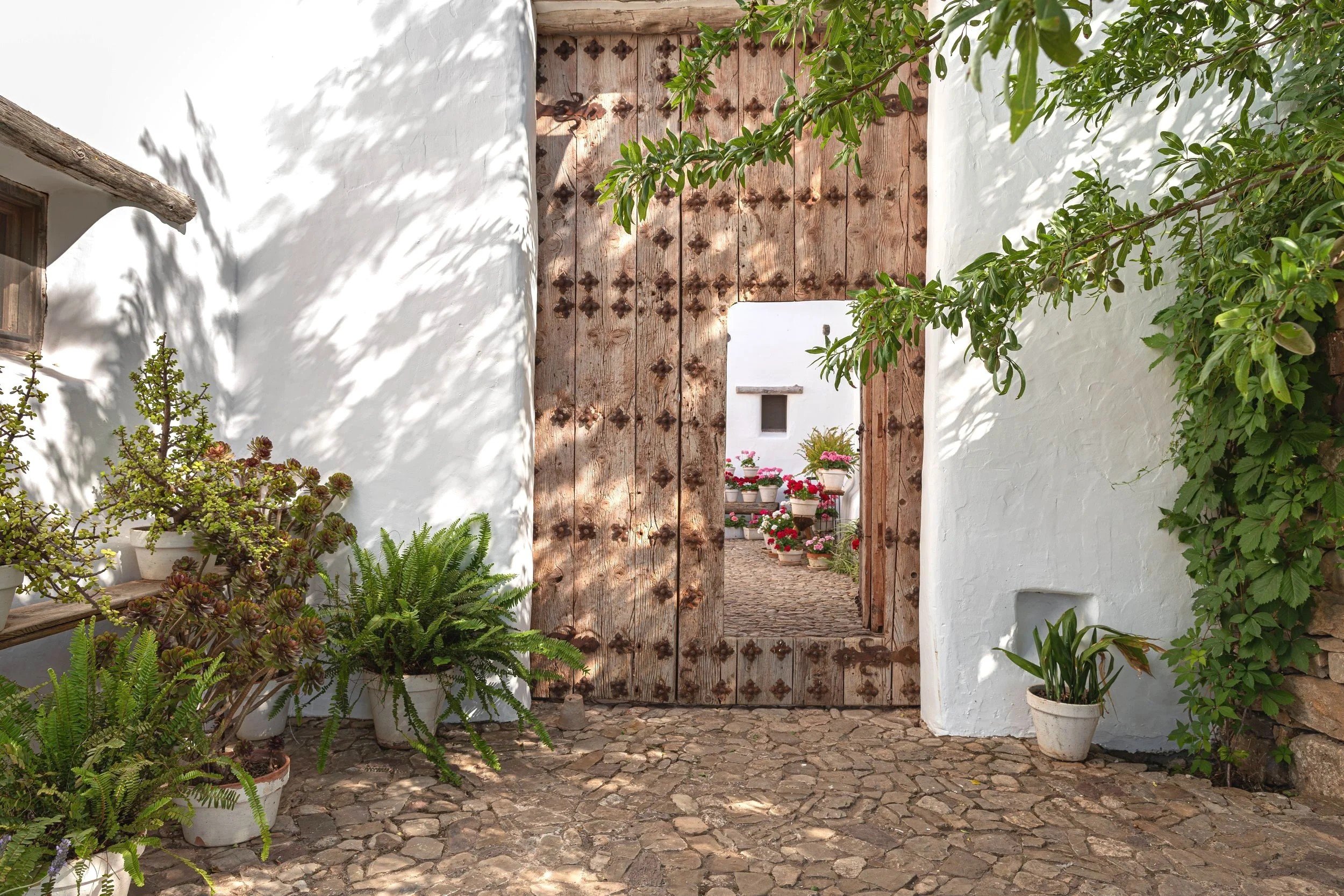 The whitewashed cortijo entrance with its studded wooden gate and cobbled patio