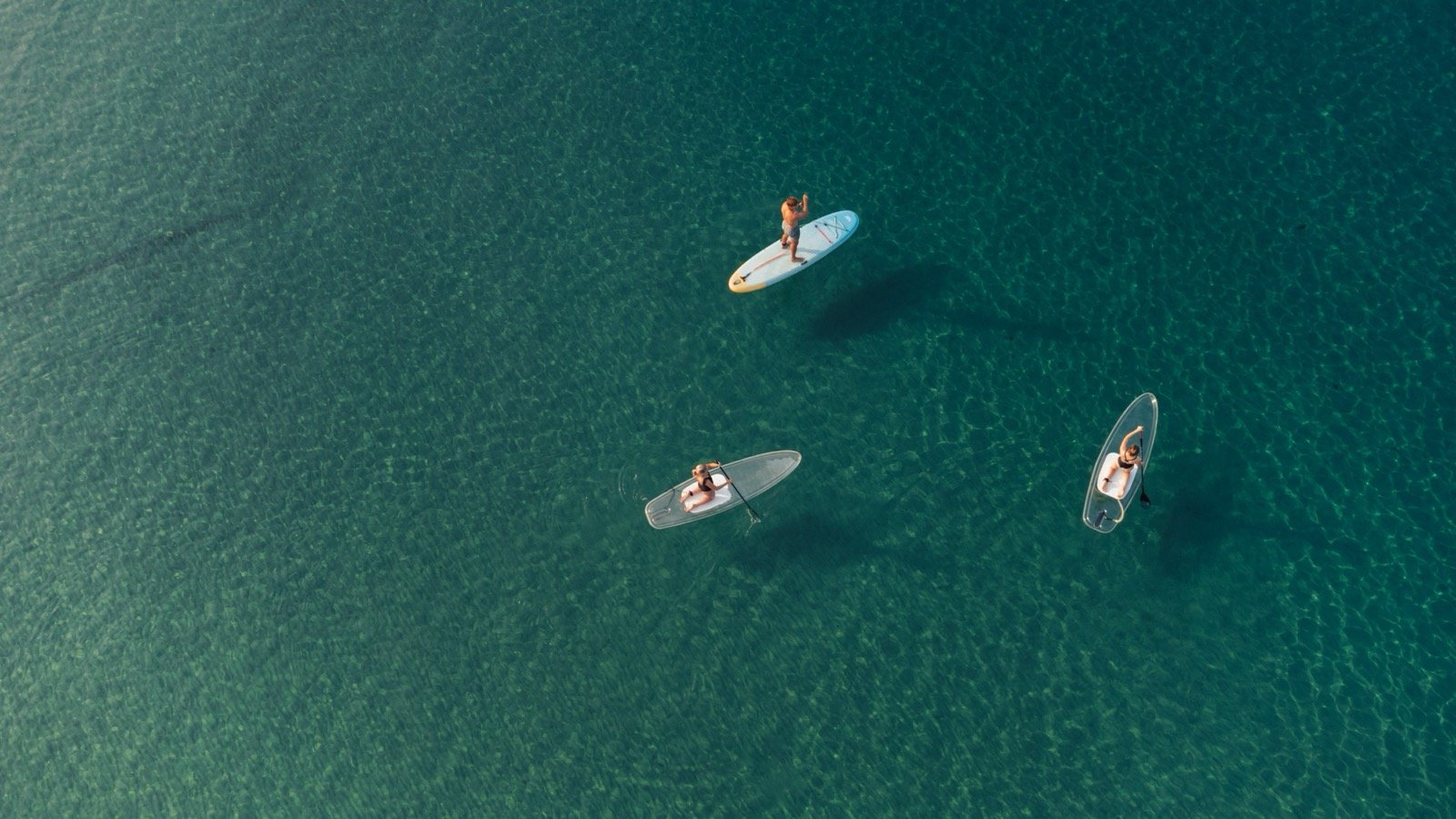 Paddleboards on the calm water of the bay