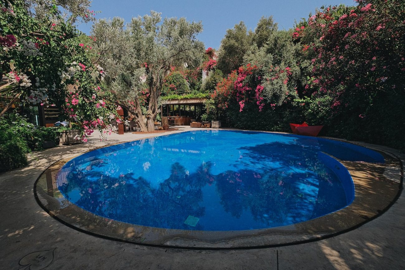 The garden pool ringed by olive trees and bougainvillea