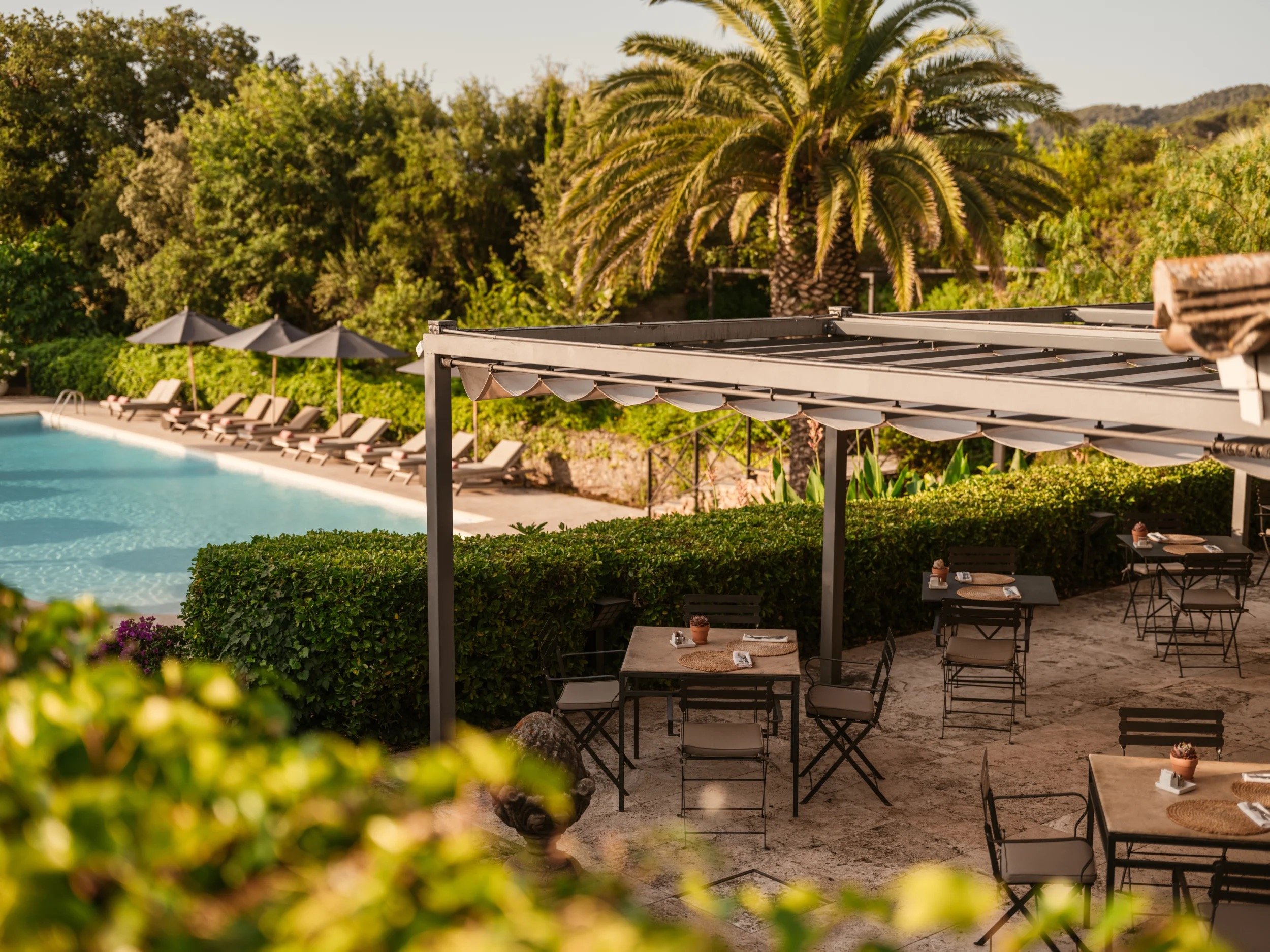 The garden pool and a shaded terrace under a palm
