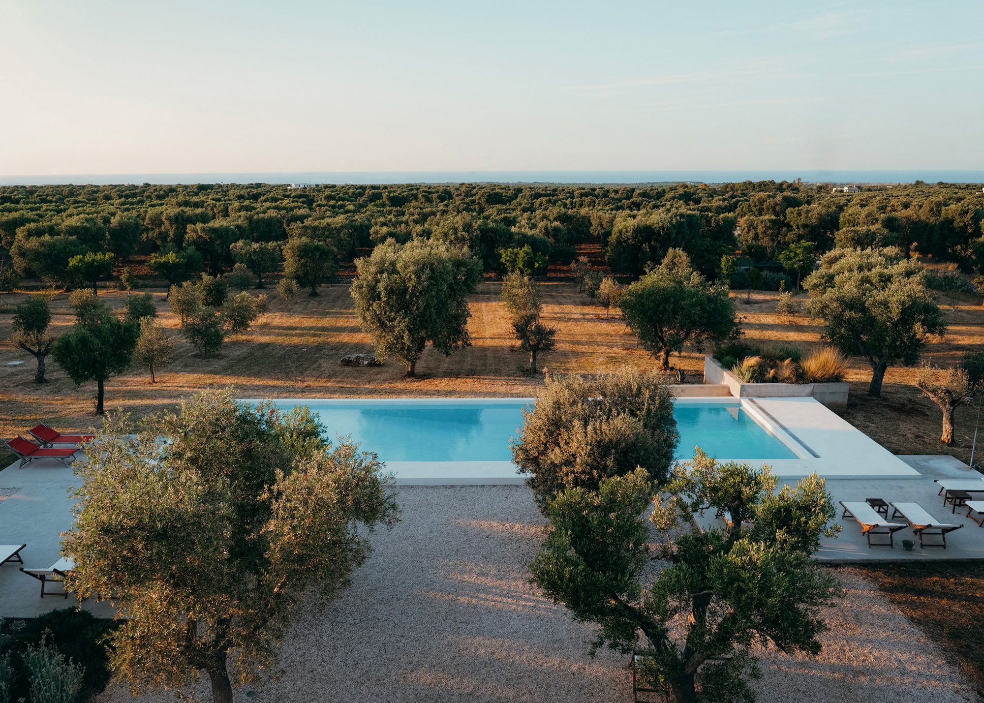 The pool at Masseria Moroseta at dusk among the olive groves above Ostuni