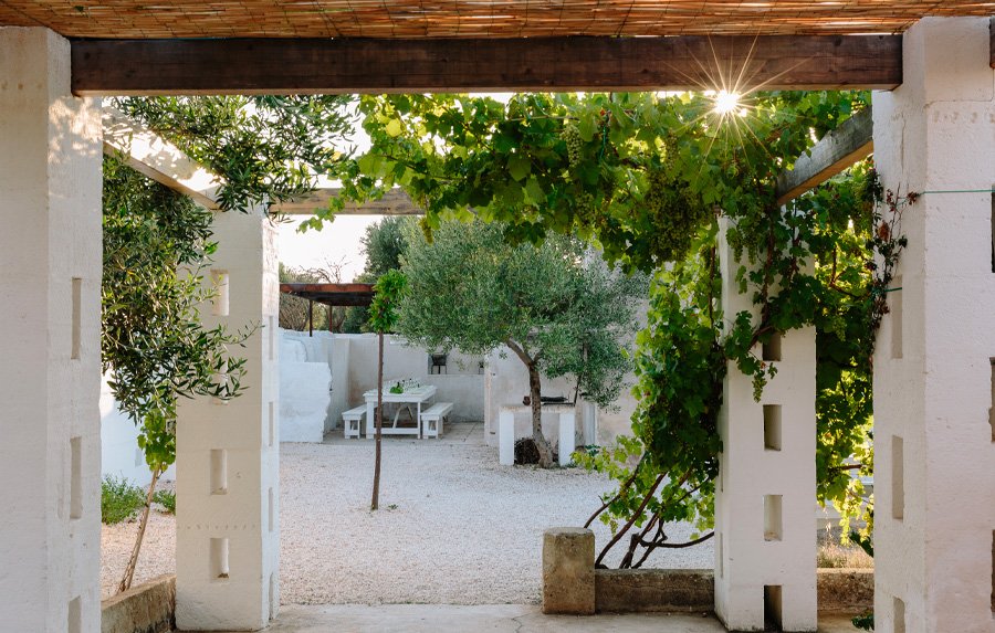 A vine-shaded courtyard with a long communal table