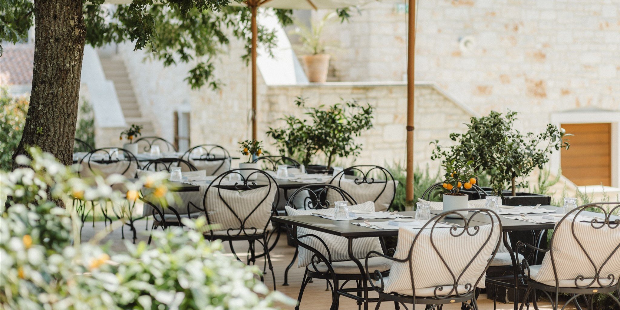 The Oliveto terrace laid for lunch under citrus trees against pale Istrian stone