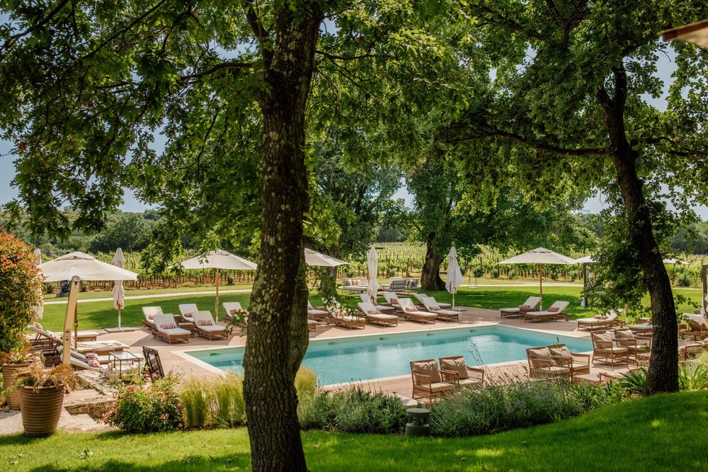 The outdoor pool ringed by oaks with the vineyards beyond
