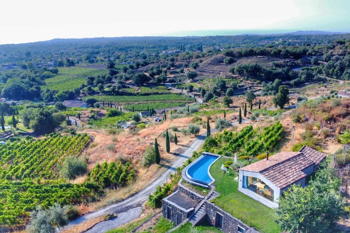 A hillside villa with its own pool set among the vines