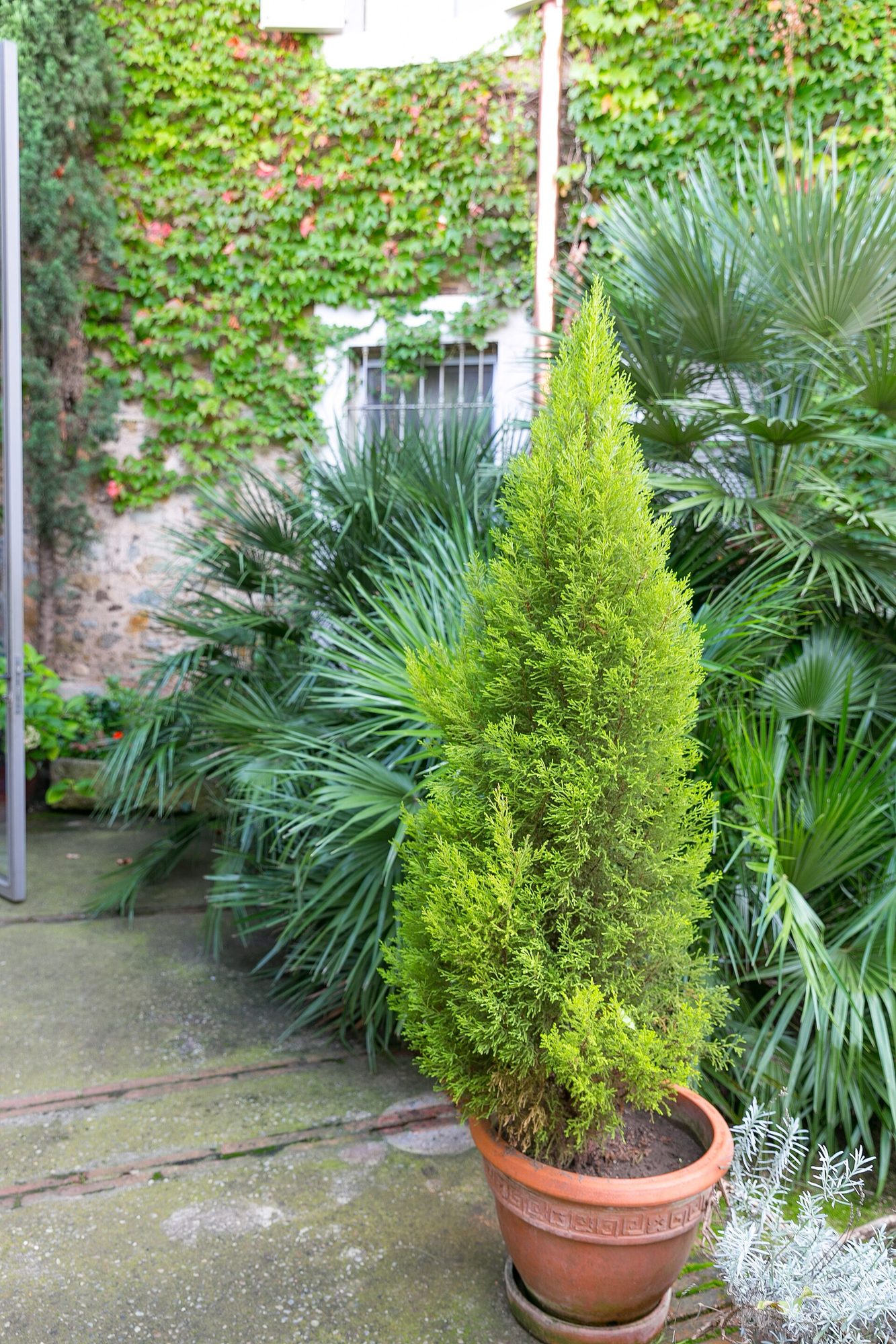 The garden courtyard the dining room wraps around · Photo: City Foodsters, Wikimedia Commons (CC BY 2.0)
