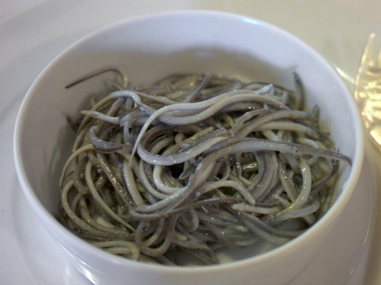Angulas, baby eels, from the fire · Photo: Krista, Wikimedia Commons (CC BY 2.0)