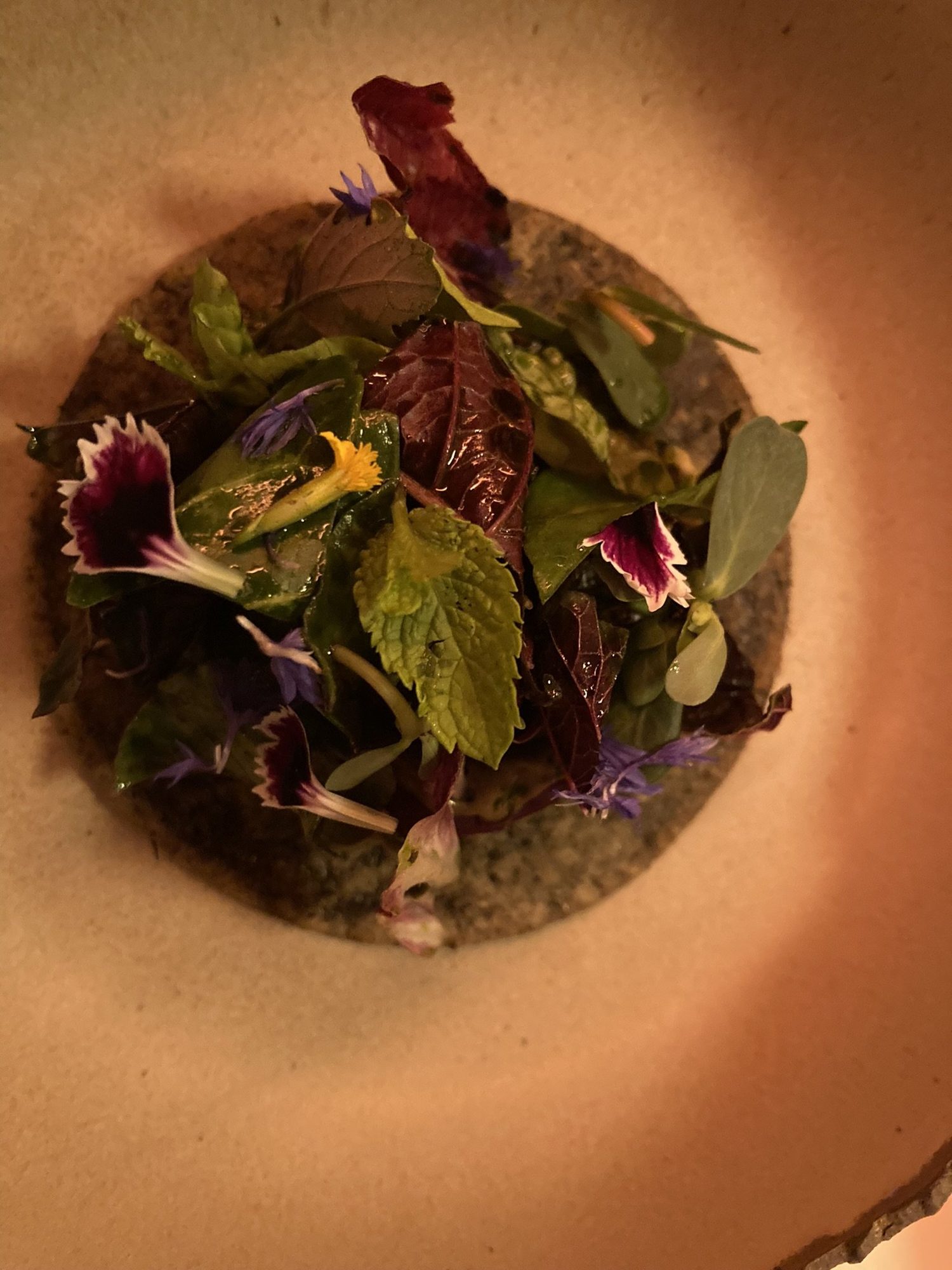 Foraged herbs and flowers, from the valley · Photo: Dclemens1971, Wikimedia Commons (CC BY 4.0)