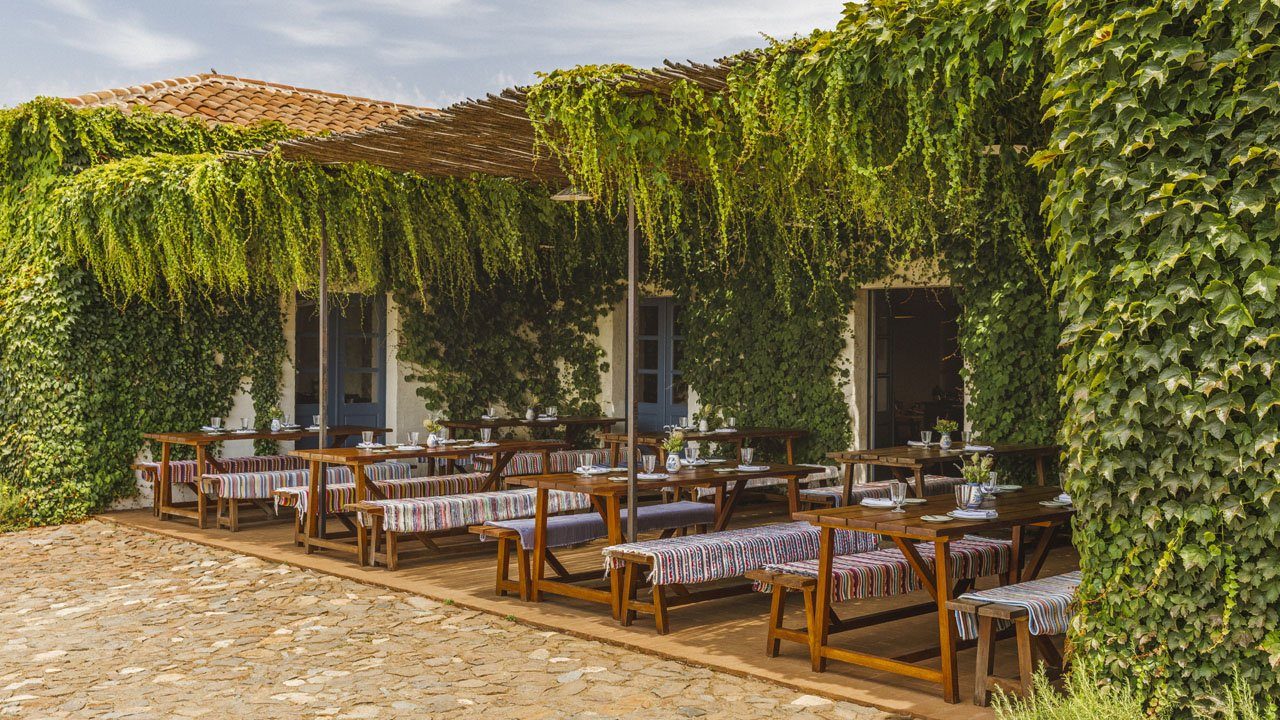 Outdoor tables set under a vine-covered colonnade at the restaurant
